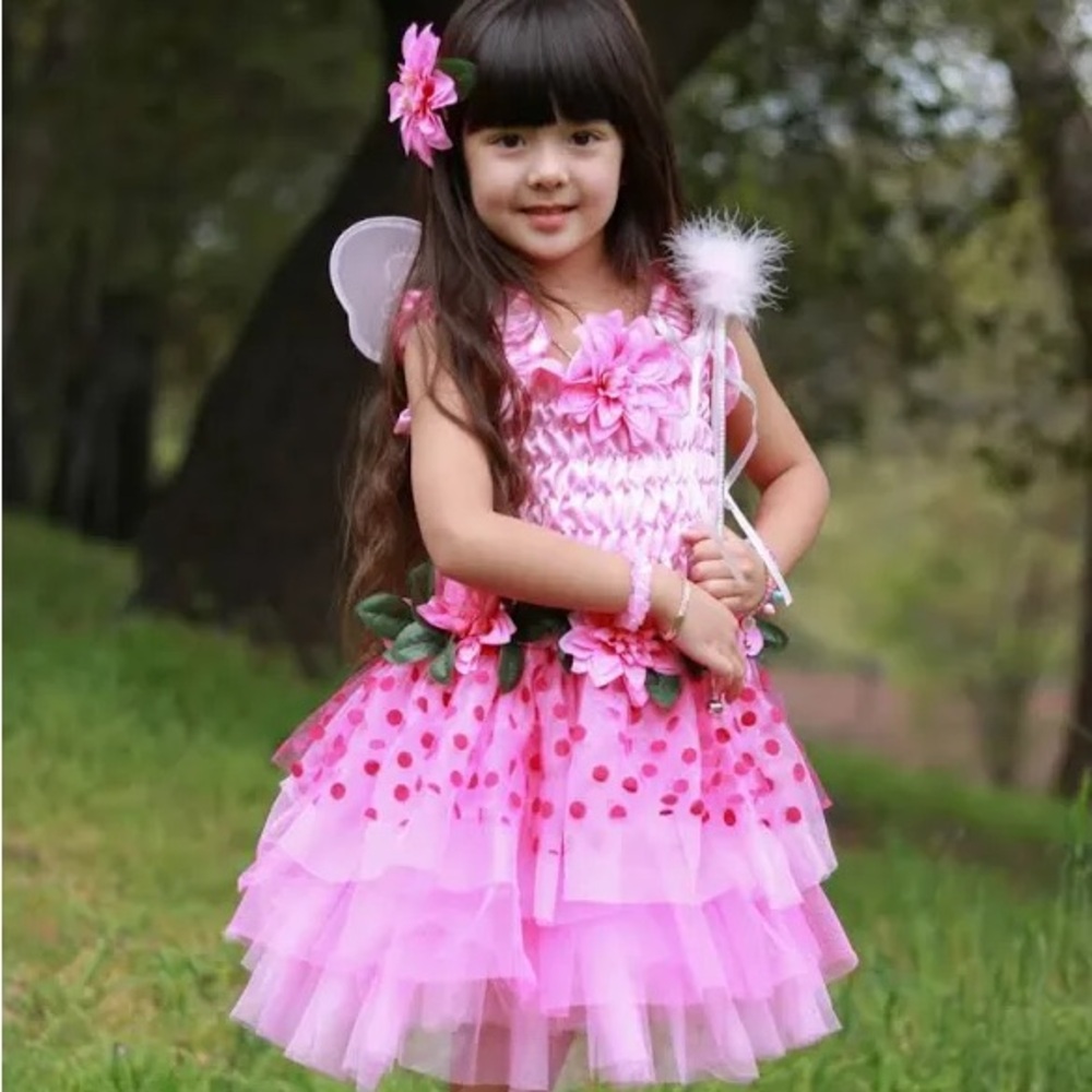 NWT Pink Fairy Costume
